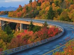 Blue Ridge Parkway by the forest near Mountain Inn & Suites