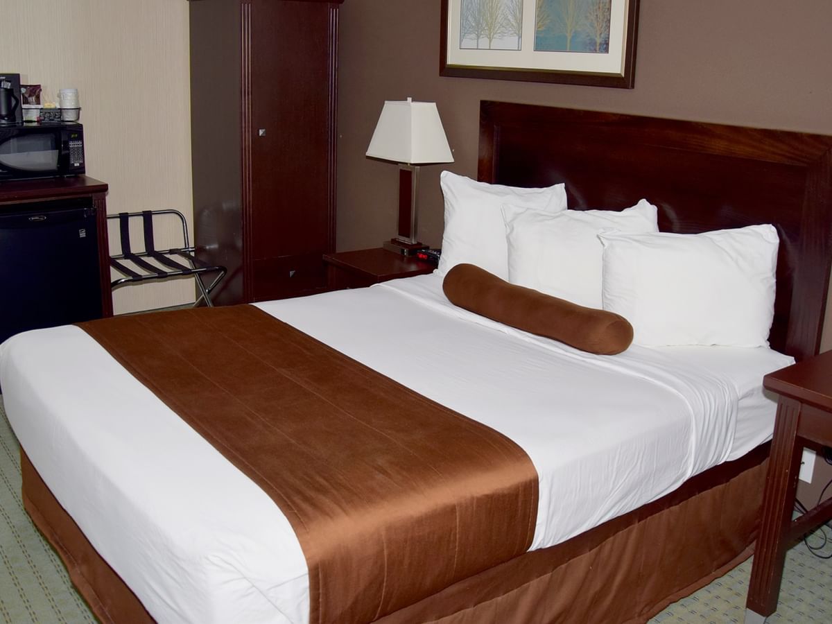 A hotel room with a bed, lamp, microwave, mini fridge, and two framed pictures on the wall.