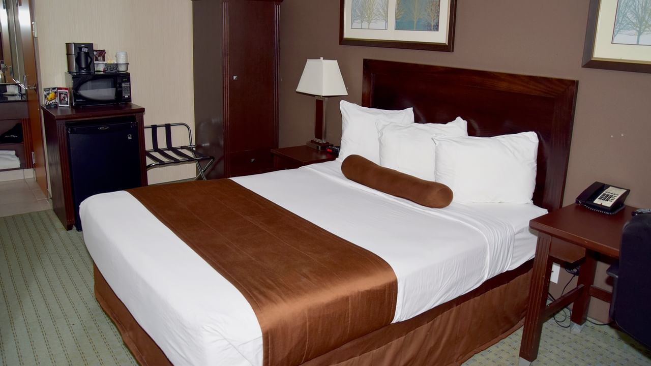 A hotel room with a bed, lamp, microwave, mini fridge, and two framed pictures on the wall.