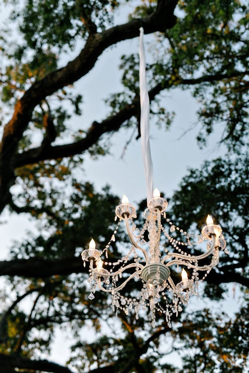 Elegant crystal chandelier hanging from a large oak tree during an outdoor event at The White House Hotel