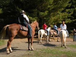 People riding horses near Honor’s Haven Retreat Retreat