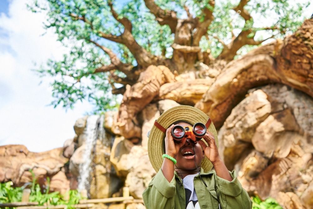 A young boy in a safari hat uses binoculars to look up, standing in front of The Tree of Life and a rocky wall.  