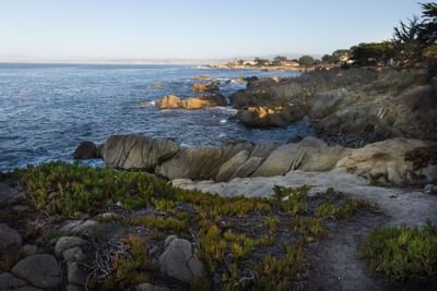 monterey landscape overlooking sea