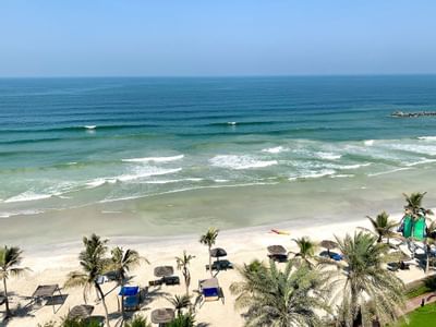 Aerial view of the Beach & trees at Hotel Ajman