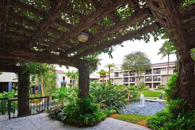 Leafy pergola overlooking a fountain pond and verdant tropical garden beside nearby hotel balconies at Miami Lakes Hotel