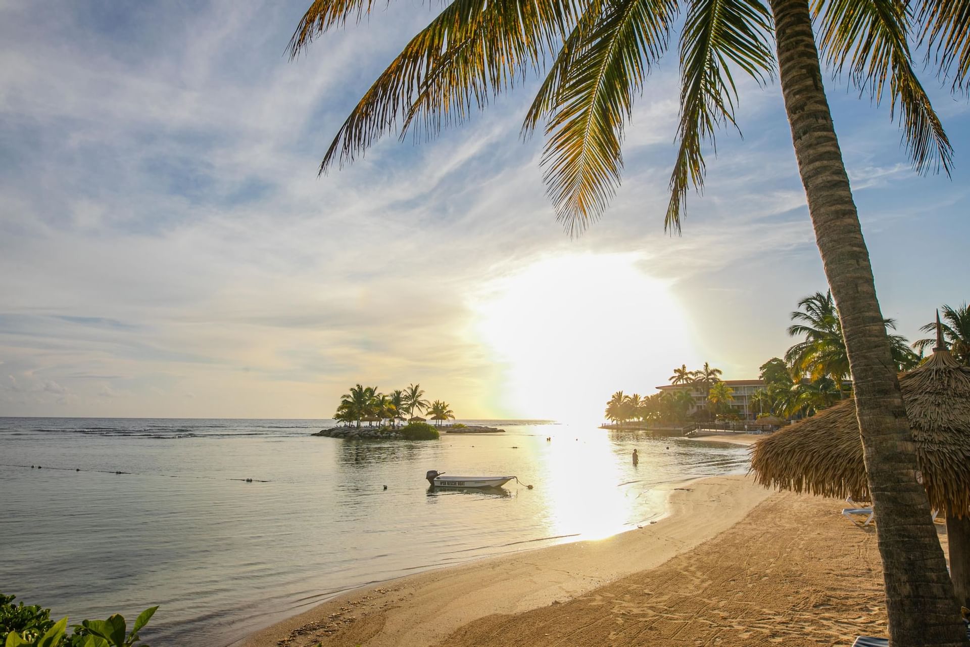 Beach view with coconut trees near Holiday Inn Montego Bay