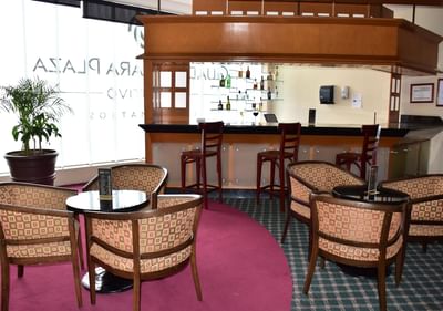 Relaxing Lobby bar in Hotels Grupo Guadalajara