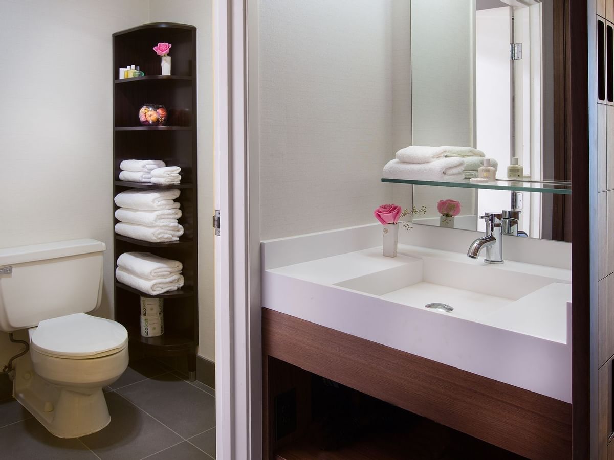 Sink and toilet in modern bathroom