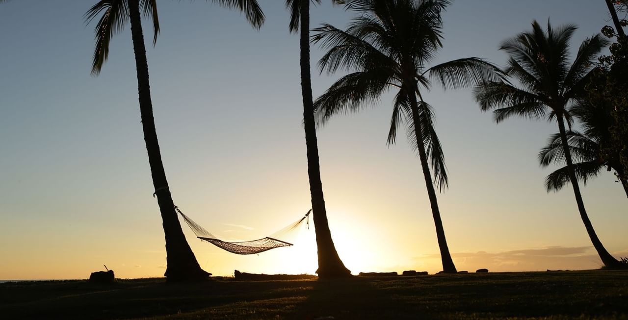 Hammock by the ocean sunset