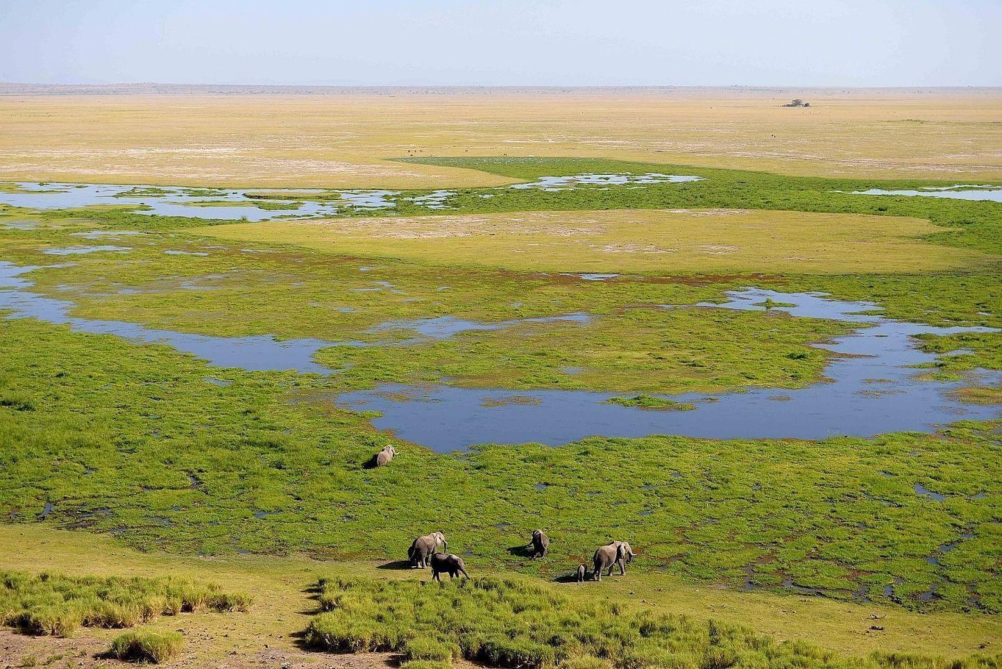 Amboseli Serena Safari Lodge | Lodges in Amboseli National Park ...