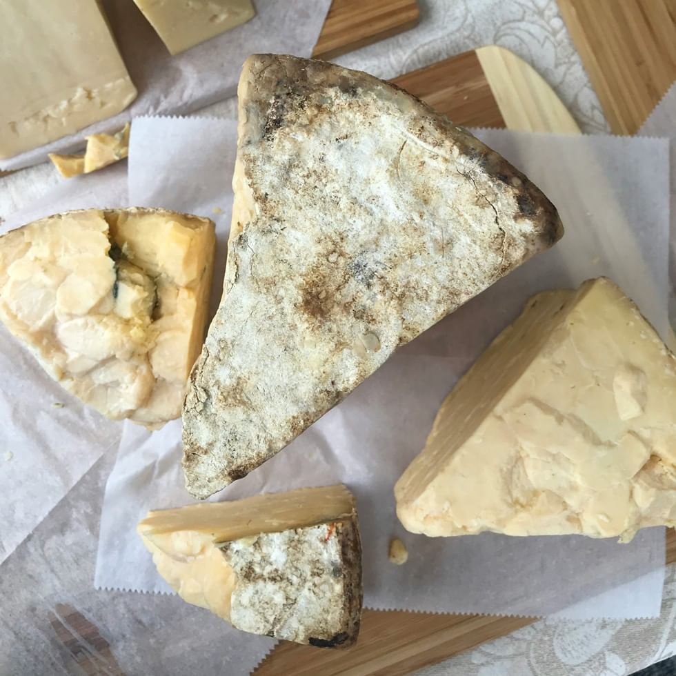 Verschiedene Käsesorten auf Holzbrettern und Papier beim Käsefestival Gröbming