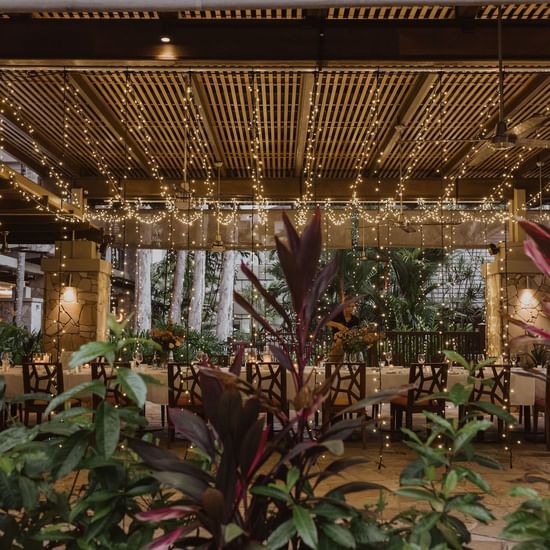 Well-decorated dining area at Pullman Palm Cove Sea Resort