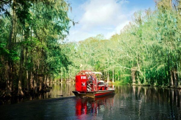 Airboat with tourists glides on a serene swamp near Lake Buena Vista Resort Village & Spa