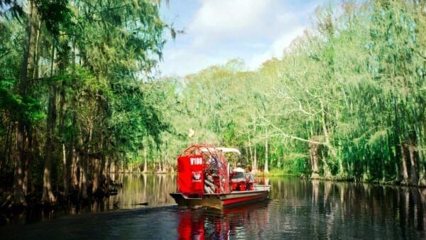 Airboat with tourists glides on a serene swamp near Lake Buena Vista Resort Village & Spa