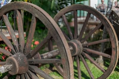 Two weathered wooden wagon wheels placed on grass, with greenery and people in the blurred background.