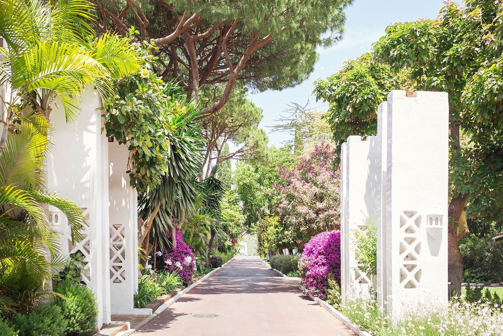 marbella gym membership plans