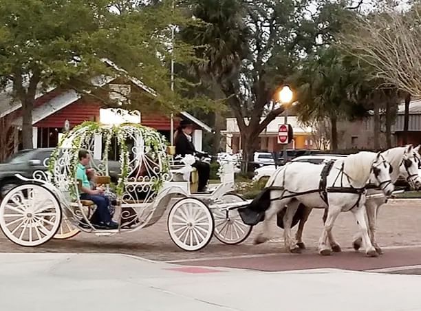 People enjoying Horse-Drawn Carriage Tour in downtown Winter Garden near Lake Buena Vista Resort Village & Spa