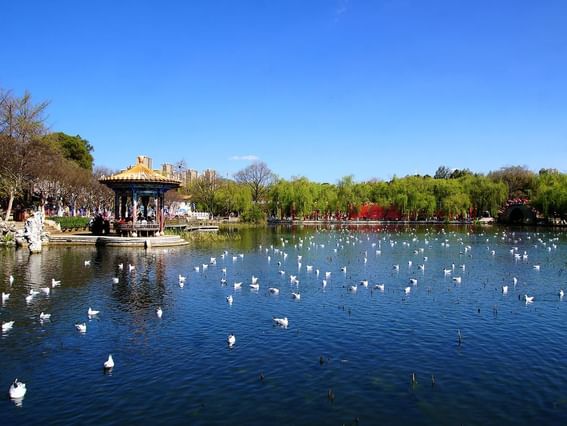 Lake of Kunming Daguan Park near Park Hotel Group