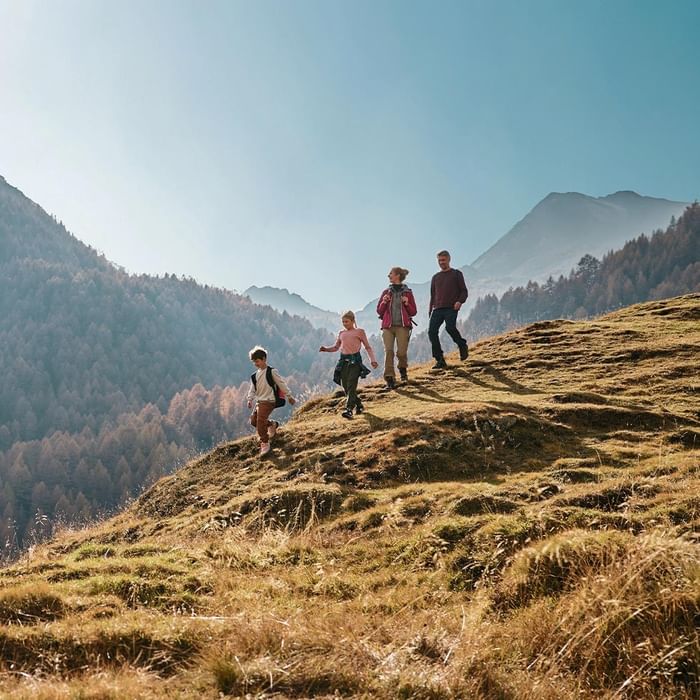 Family of four hiking on a grassy mountain slope with forested hills and clear blue sky in the background.