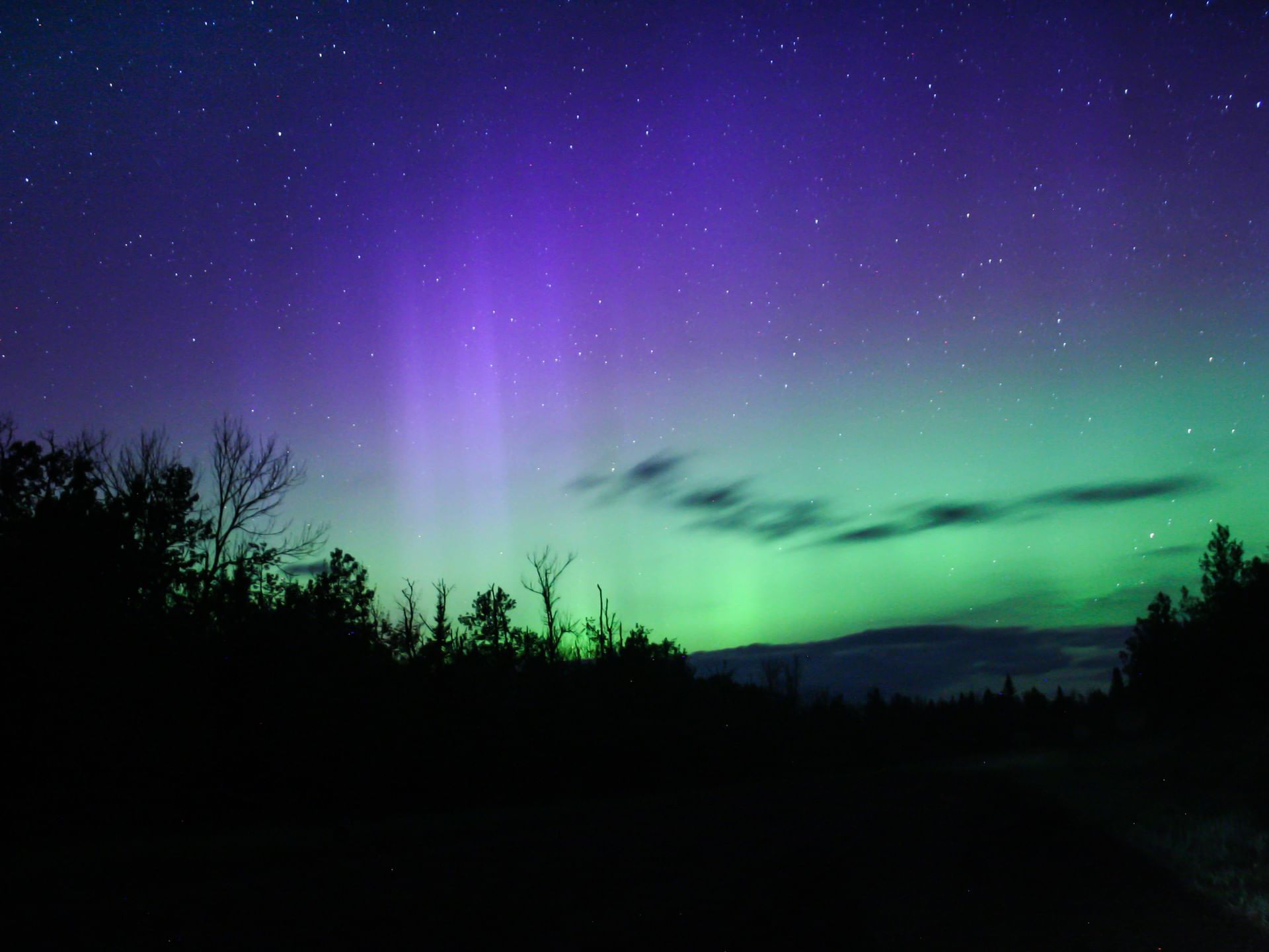 Aurora in night sky near Bluefin Bay Family of Resorts