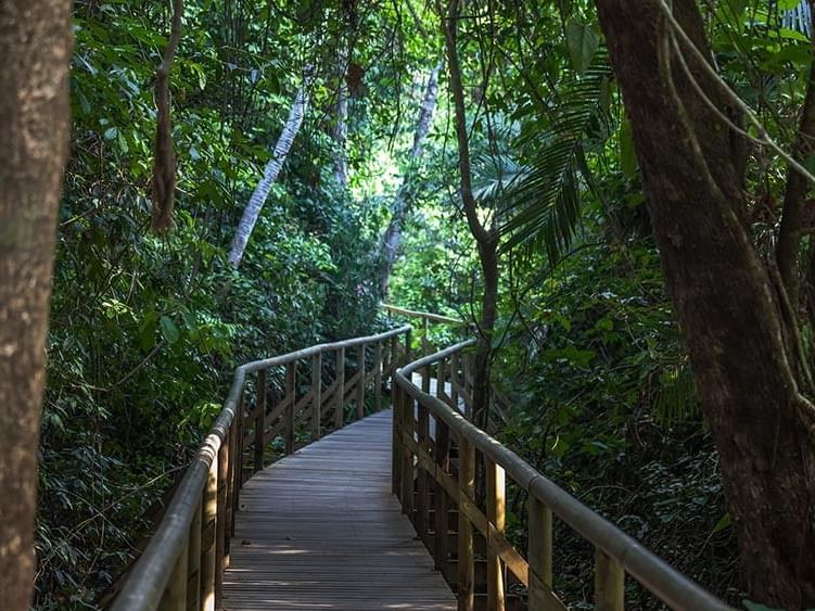 Day tour in Manuel Antonio National Park