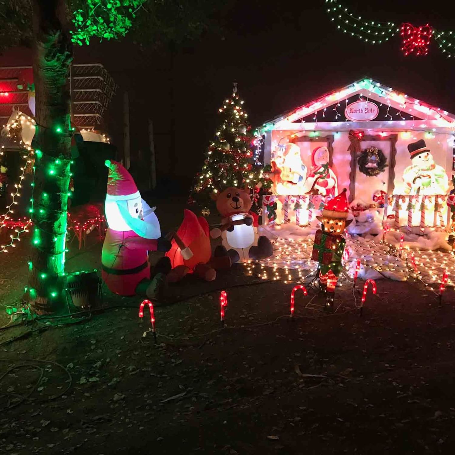 Front lawn of a decorated home with lots of lights, a tree, santa inflatable, candy cane lights, etc.