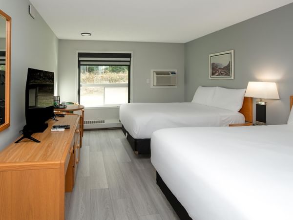Coast Two Queens Pet Friendly room with two queen beds, gray walls, and wood furnishings.