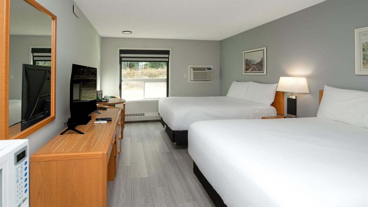 Coast Two Queens Pet Friendly room with two queen beds, gray walls, and wood furnishings.