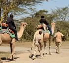 A Camel back riding experience at Sweetwaters Serena Camp