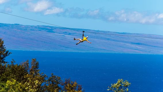Ziplining near Ka'anapali Beach Hotel Hawaii