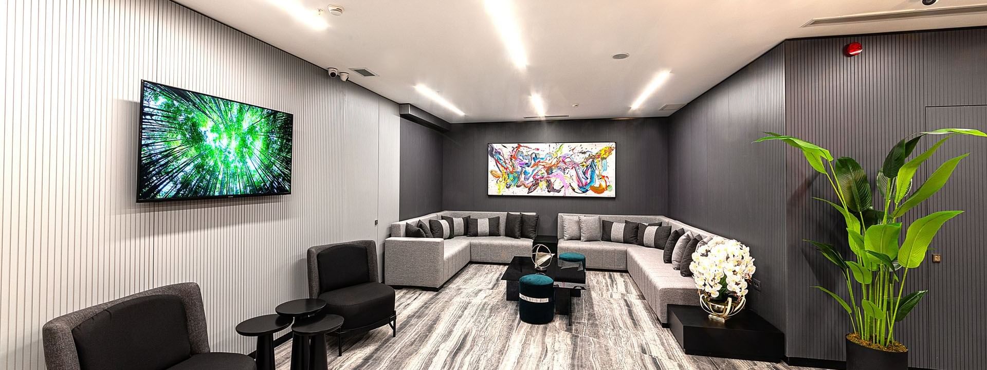 Beautiful Lobby area with wall painting & Television