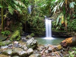 El Yunque National Forest