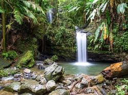 El Yunque National Forest