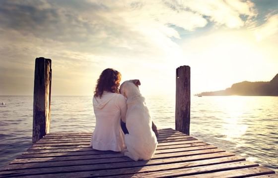 Woman and a dog sitting on a dock at dawn near Harrison Lake Hotel