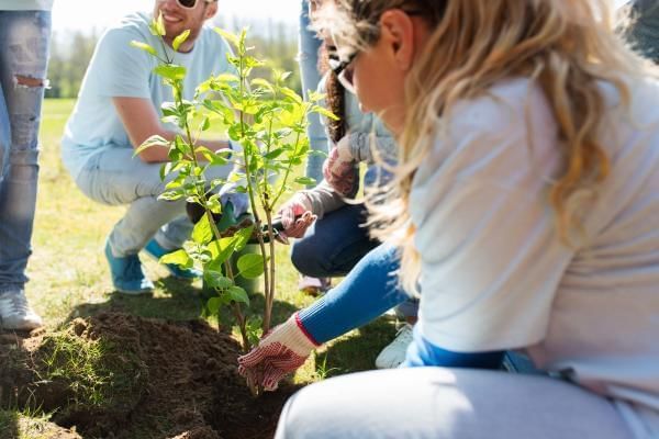 Tree planting activity at event