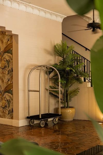 Luggage cart with potted palm beside stairs in a hallway at Clinton Hotel and Spa
