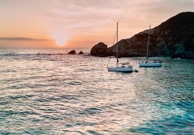 Landscape view of boats sailing on the sea at sunset near Catalina Island Company