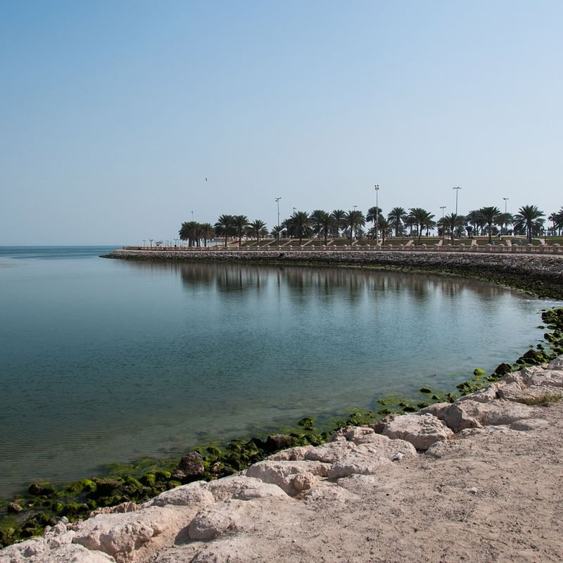 Al Khobar corniche scene with palm trees lining a calm, reflective lagoon near Warwick Hotels and Resorts