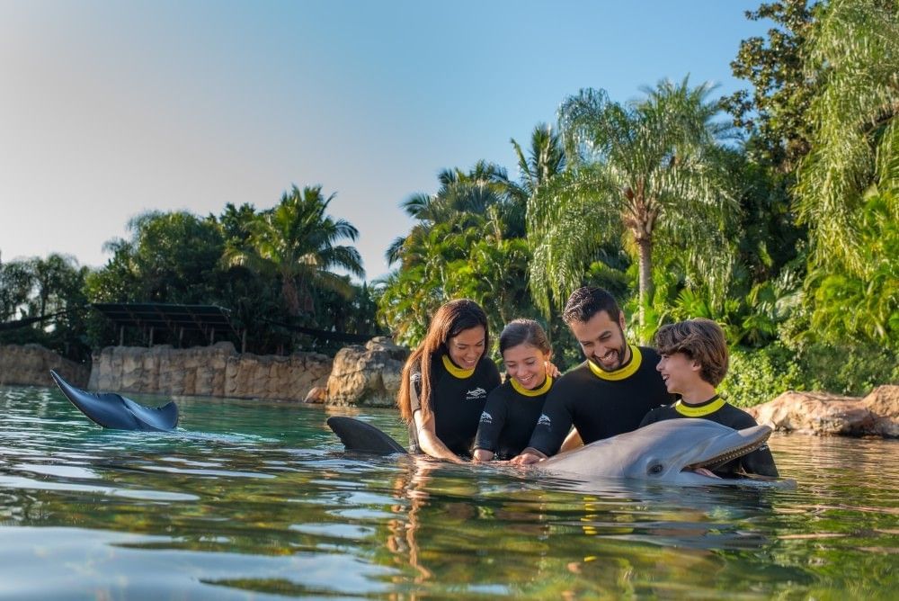 A family of four in matching black and yellow wetsuits stand in water smiling and petting a dolphin.