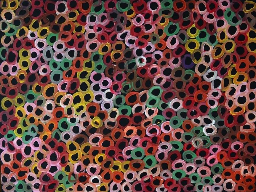 Colorful Bush Melon Seeds portrait  at Sofitel Brisbane Central