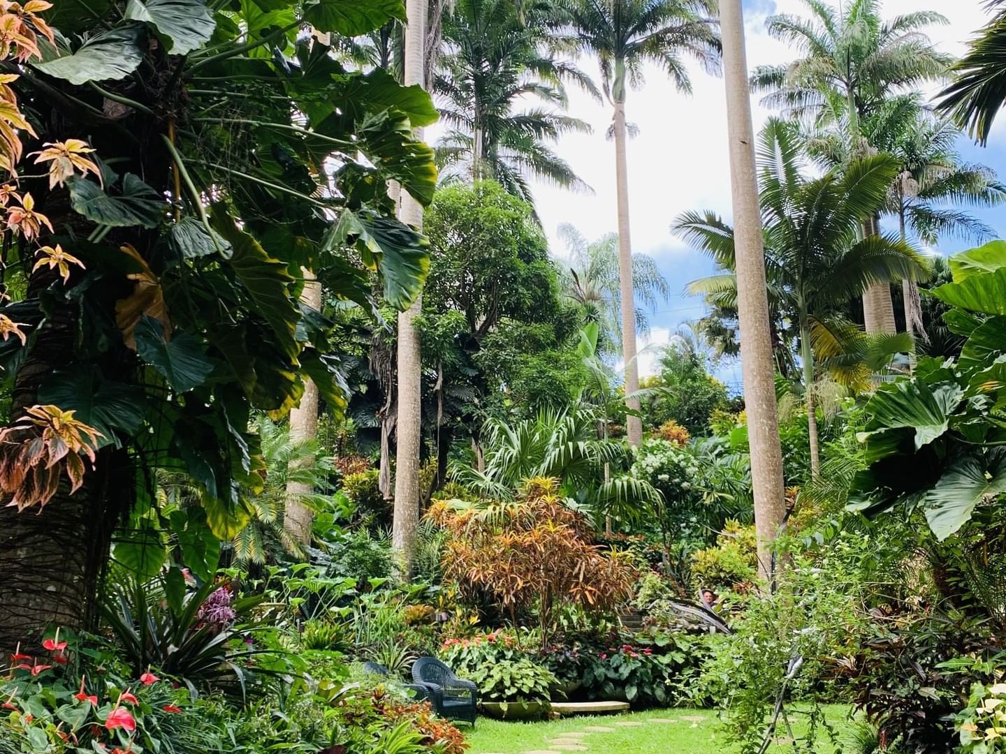 Botanical Gardens | Barbados Attractions