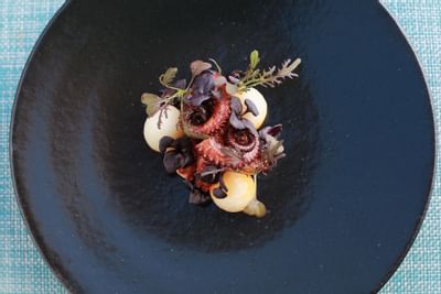 Closeup of dish served in Alma Restaurant at Punta Islita Hotel