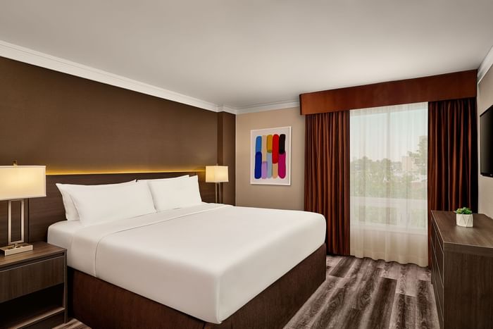 Modern hotel guest room with a white bed, brown walls, large window with curtains, and a cityscape view.