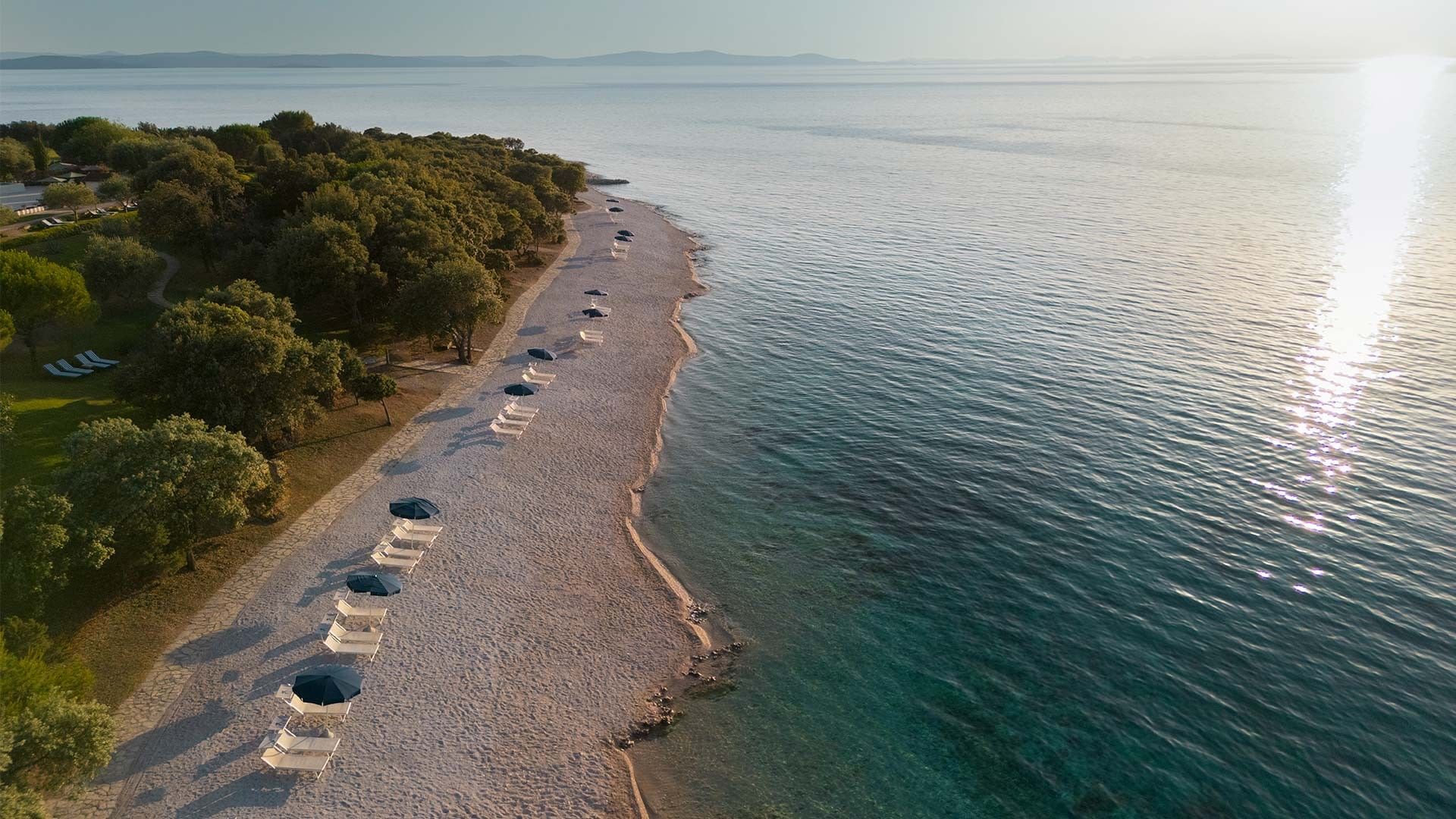 Aerial view of a beach with lounge chairs and umbrellas, bordered by greenery and the ocean.