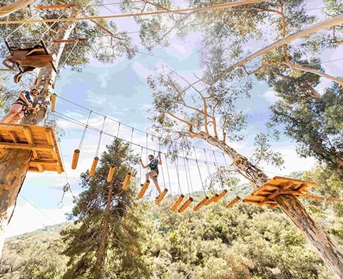 Man navigating a rope and adventuring in an outdoor activity in Catalina Island Aerial Adventure near Hotel Atwater