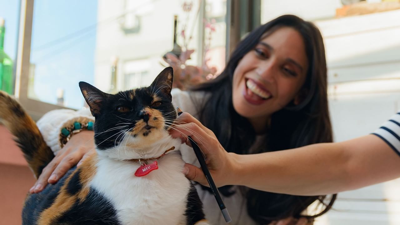 women smiling and petting a calico cat