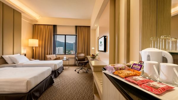 Executive Room Twin
