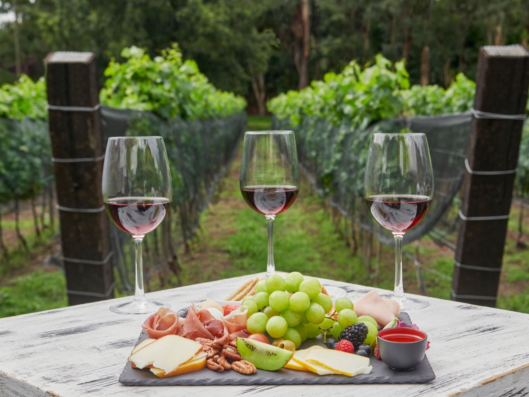 A platter & wine served by a vineyard near La Colección Resorts