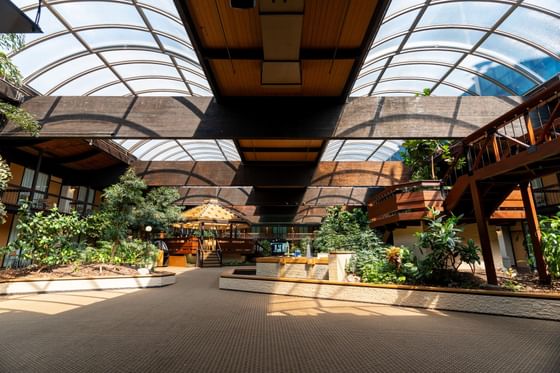 Trees & plants with a retractable roof & lounge in The Courtyard at M Hotel Buffalo