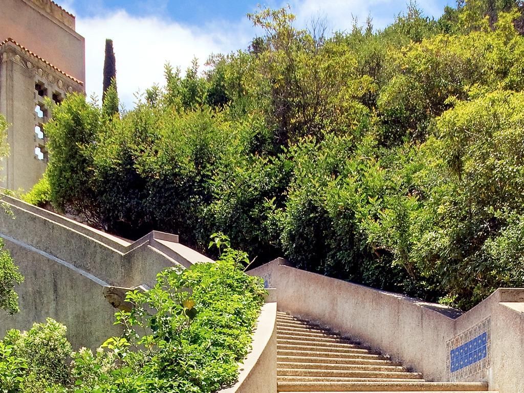 Steps in Wrigley Memorial & Botanical Gardens near Catalina Island Company